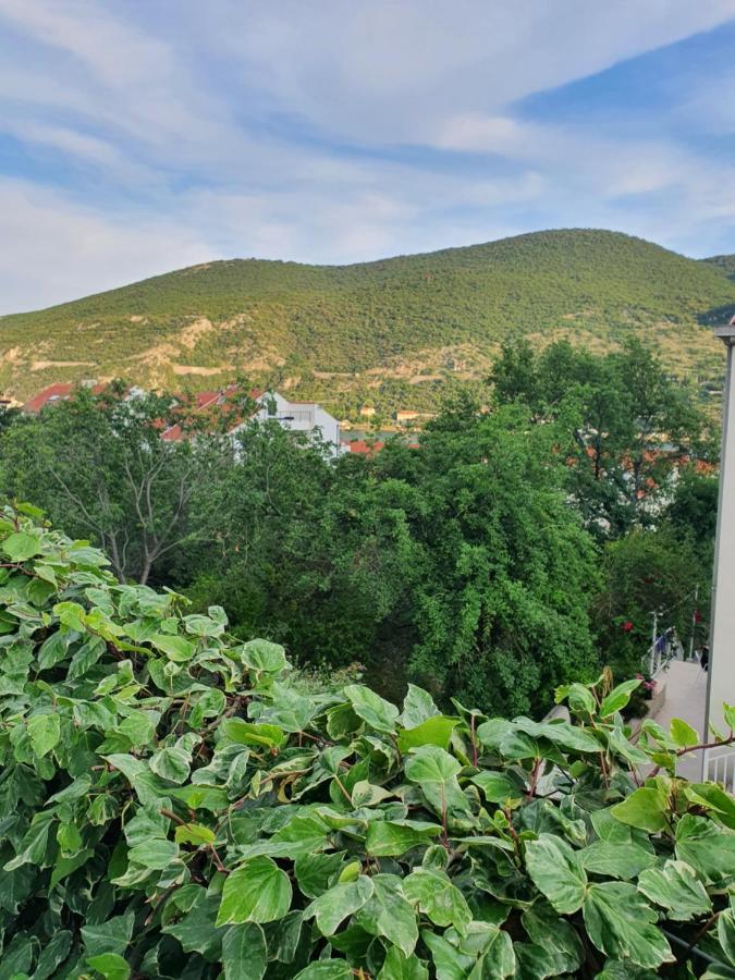Apartment Rita Mokošica Zewnętrze zdjęcie